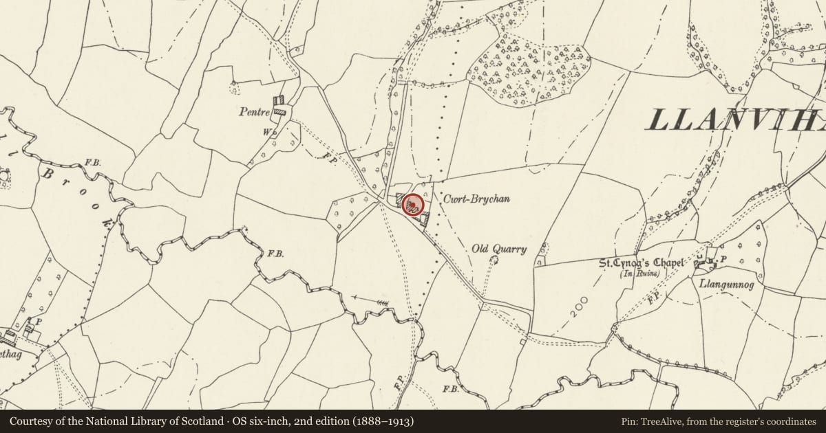 Ordnance Survey six-inch map, 2nd edition (1888–1913) covering the location of Cwrt y Brychan, Llantrisant Fawr, Monmouthshire, with a pin at the register's coordinates