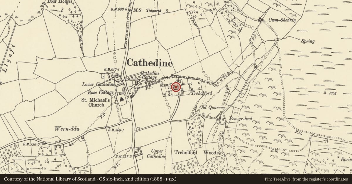 Ordnance Survey six-inch map, 2nd edition (1888–1913) covering the location of Treholford, Llangors, Powys, with a pin at the register's coordinates