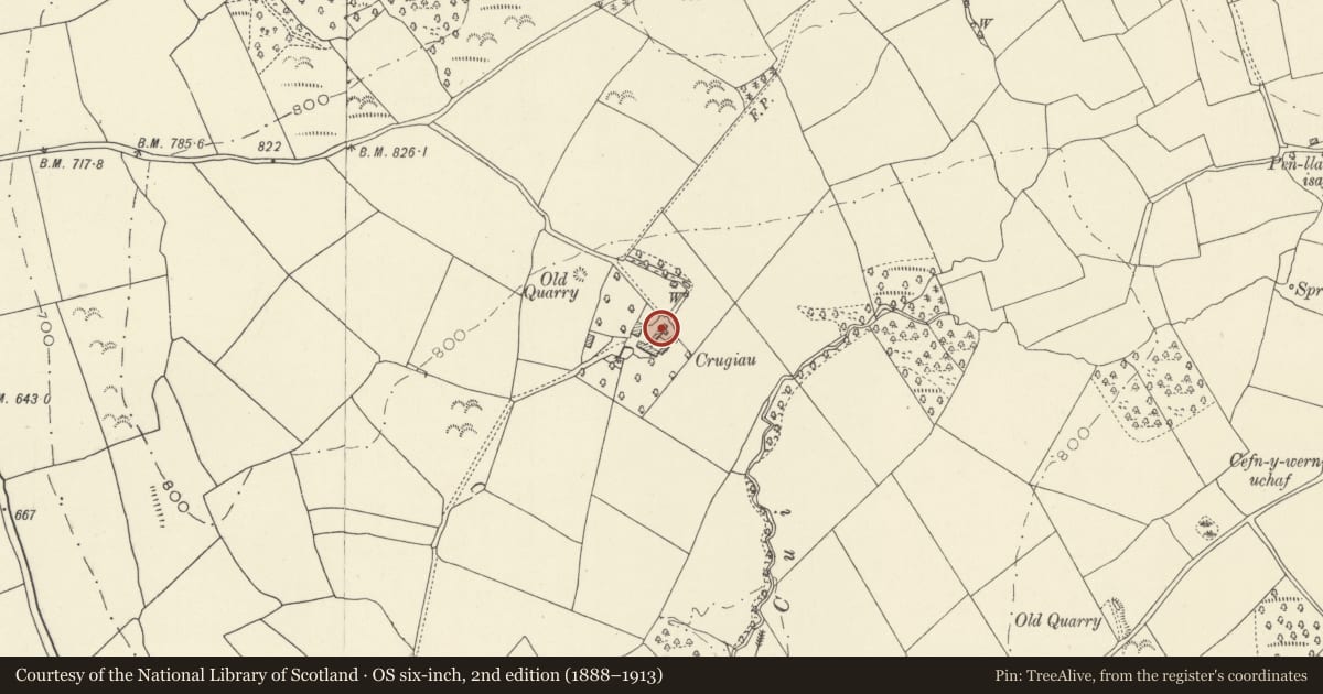 Ordnance Survey six-inch map, 2nd edition (1888–1913) covering the location of Crickie (also known as Crugiau) farmhouse including in-line farm range, Llangors, Powys, with a pin at the register's coordinates