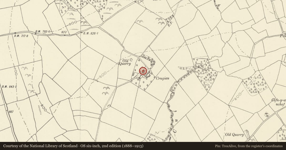 Ordnance Survey six-inch map, 2nd edition (1888–1913) covering the location of Cowbyre to N of Crickie farmhouse, Llangors, Powys, with a pin at the register's coordinates