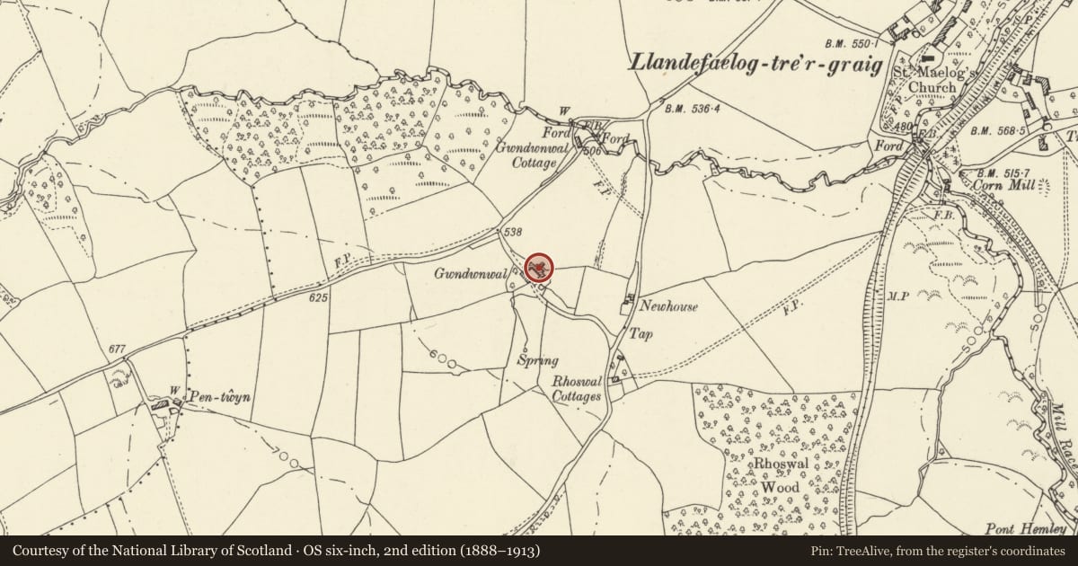 Ordnance Survey six-inch map, 2nd edition (1888–1913) covering the location of Gwndwnwal, Llangors, Powys, with a pin at the register's coordinates
