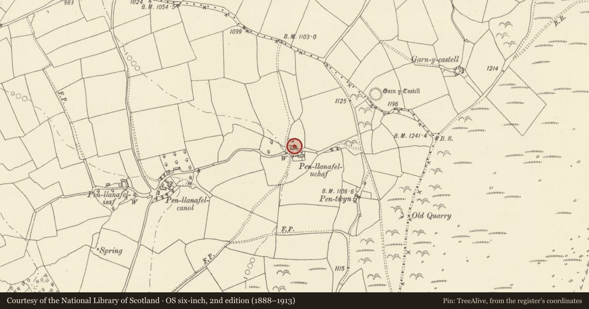 Ordnance Survey six-inch map, 2nd edition (1888–1913) covering the location of Barn at Upper Penllanafal, Llangors, Powys, with a pin at the register's coordinates
