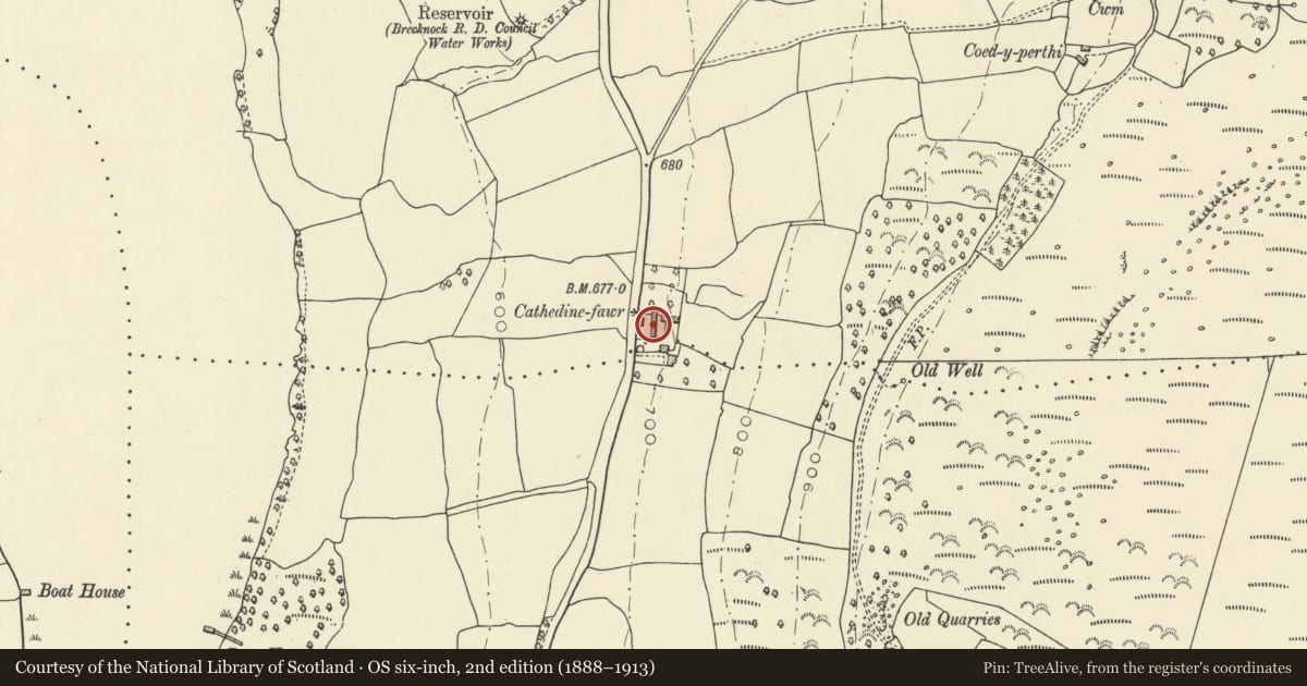 Ordnance Survey six-inch map, 2nd edition (1888–1913) covering the location of Byre at Cathedine Fawr, Llangors, Powys, with a pin at the register's coordinates