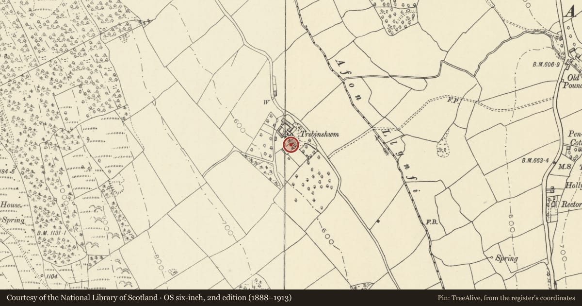 Ordnance Survey six-inch map, 2nd edition (1888–1913) covering the location of Garden wall and room at Trebinshwn, Llangors, Powys, with a pin at the register's coordinates