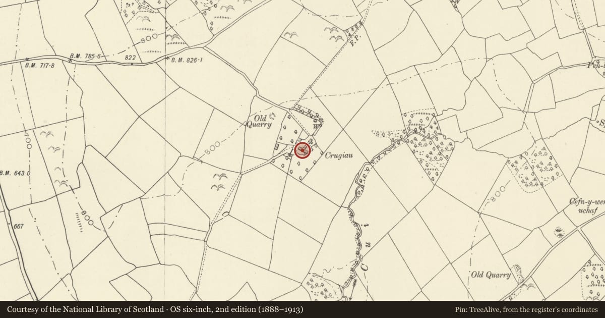 Ordnance Survey six-inch map, 2nd edition (1888–1913) covering the location of Barn with attached granary at Crickie, Llangors, Powys, with a pin at the register's coordinates