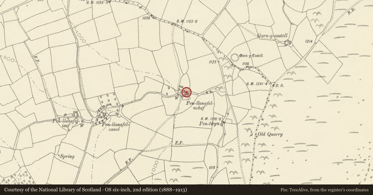 Ordnance Survey six-inch map, 2nd edition (1888–1913) covering the location of Byre at Upper Penllanafal, Llangors, Powys, with a pin at the register's coordinates