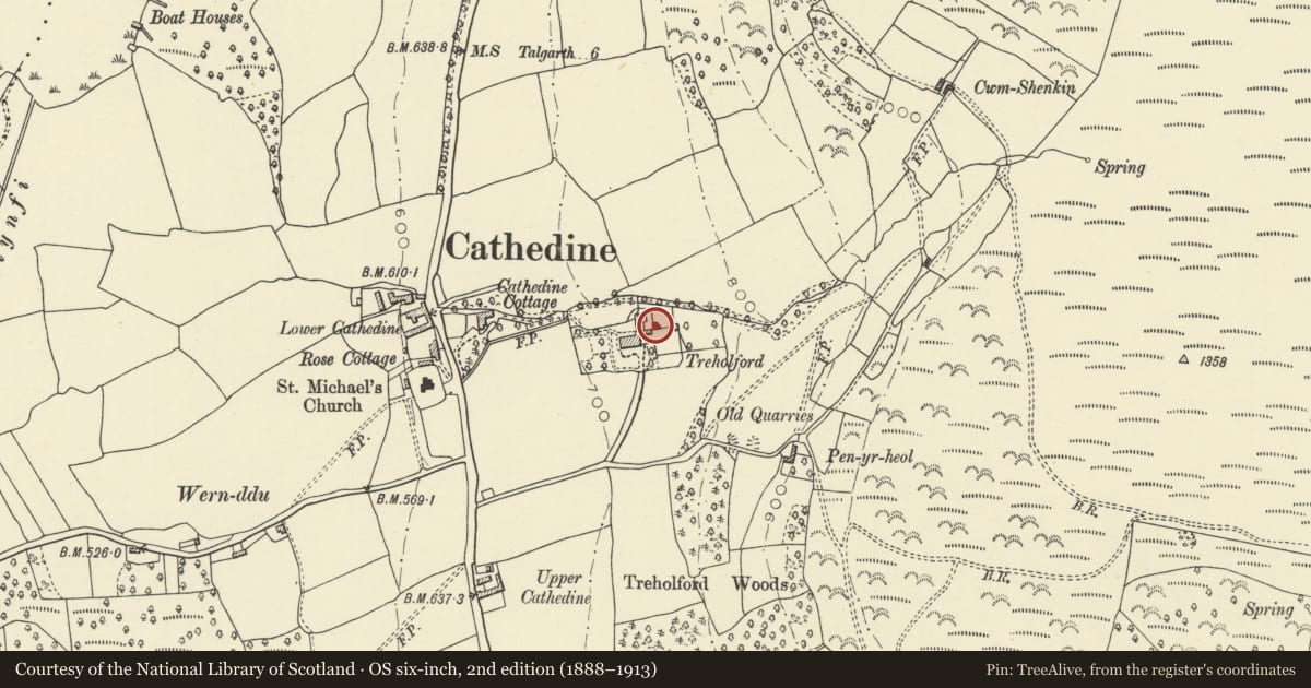 Ordnance Survey six-inch map, 2nd edition (1888–1913) covering the location of Walled garden at Treholford, Llangors, Powys, with a pin at the register's coordinates