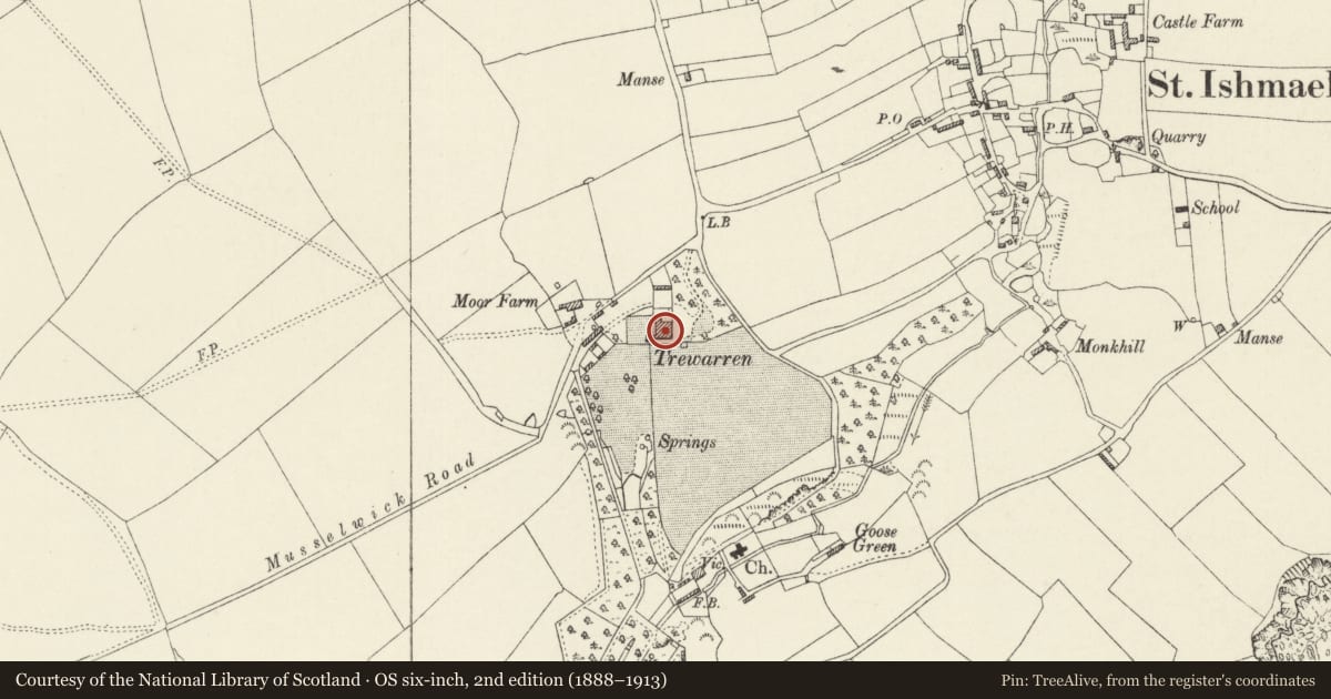 Ordnance Survey six-inch map, 2nd edition (1888–1913) covering the location of Trewarren, St. Ishmael's, Pembrokeshire, with a pin at the register's coordinates