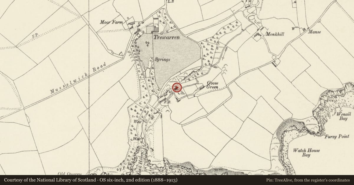 Ordnance Survey six-inch map, 2nd edition (1888–1913) covering the location of Church of St Ishmael, St. Ishmael's, Pembrokeshire, with a pin at the register's coordinates