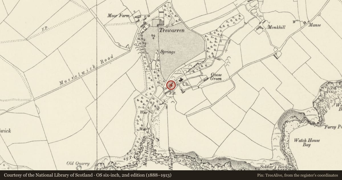 Ordnance Survey six-inch map, 2nd edition (1888–1913) covering the location of Monk Haven Manor, St. Ishmael's, Pembrokeshire, with a pin at the register's coordinates