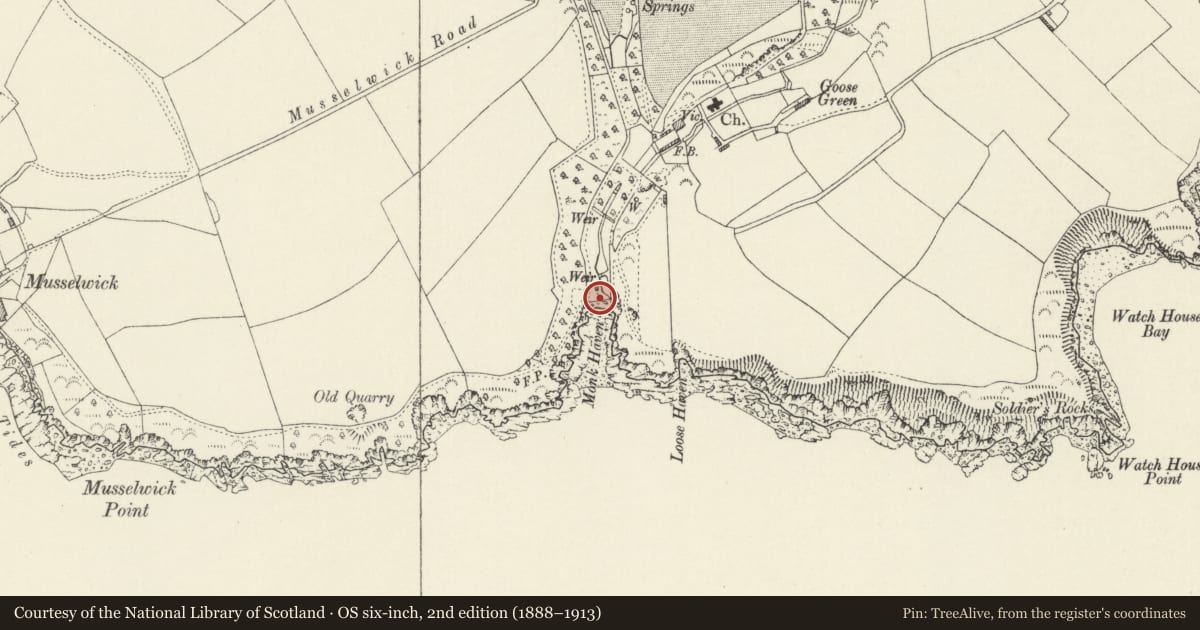 Ordnance Survey six-inch map, 2nd edition (1888–1913) covering the location of Wall at Monk Haven, St. Ishmael's, Pembrokeshire, with a pin at the register's coordinates
