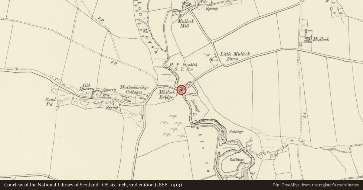 Ordnance Survey six-inch map, 2nd edition (1888–1913) covering the location of Mullock Bridge (partly in Marloes and St Brides Community), St. Ishmael's, Pembrokeshire, with a pin at the register's coordinates