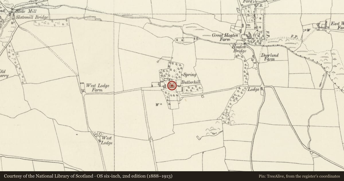 Ordnance Survey six-inch map, 2nd edition (1888–1913) covering the location of Butterhill, St. Ishmael's, Pembrokeshire, with a pin at the register's coordinates