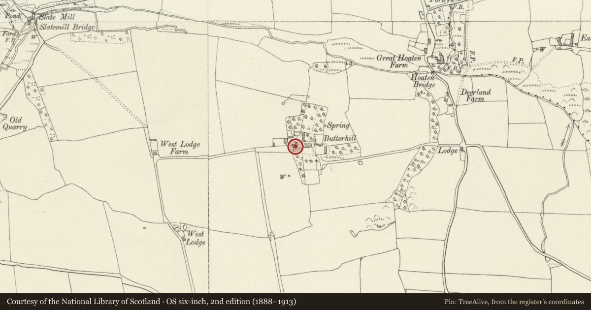 Ordnance Survey six-inch map, 2nd edition (1888–1913) covering the location of Outbuilding to W of Butterhill, St. Ishmael's, Pembrokeshire, with a pin at the register's coordinates
