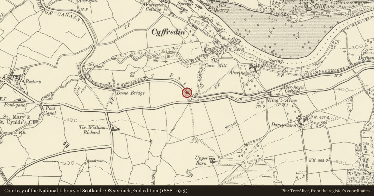 Ordnance Survey six-inch map, 2nd edition (1888–1913) covering the location of Old House Bridge (Canal Bridge No 127), Llangynidr, Powys, with a pin at the register's coordinates