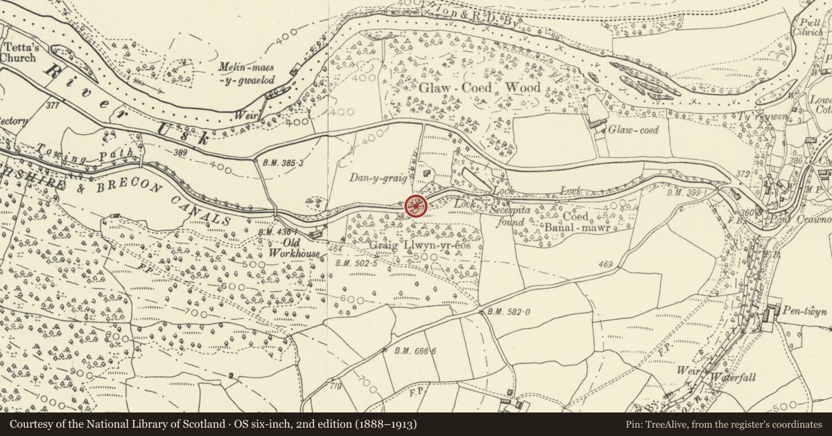 Ordnance Survey six-inch map, 2nd edition (1888–1913) covering the location of Tofs Lock Bridge (Canal Bridge No 135), Llangynidr, Powys, with a pin at the register's coordinates