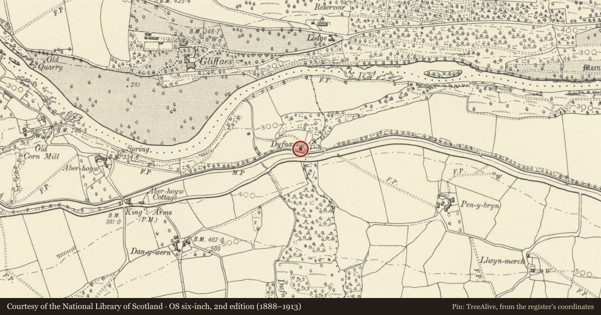 Ordnance Survey six-inch map, 2nd edition (1888–1913) covering the location of Dyfnant, Llangynidr, Powys, with a pin at the register's coordinates