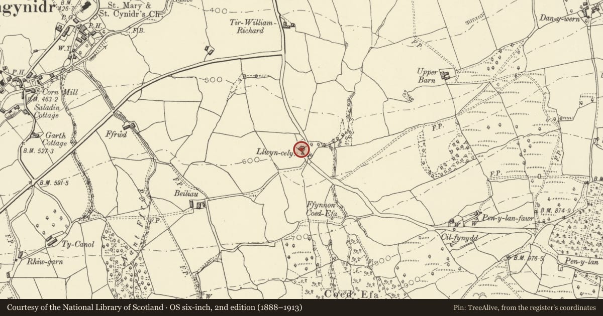 Ordnance Survey six-inch map, 2nd edition (1888–1913) covering the location of Llwyncelyn, Llangynidr, Powys, with a pin at the register's coordinates