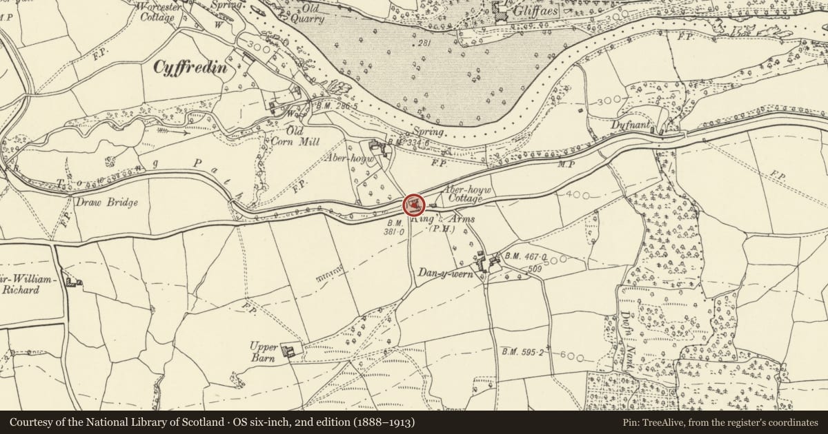 Ordnance Survey six-inch map, 2nd edition (1888–1913) covering the location of Danywern, Llangynidr, Powys, with a pin at the register's coordinates