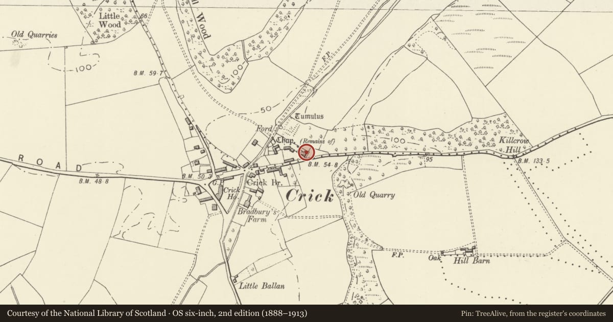 Ordnance Survey six-inch map, 2nd edition (1888–1913) covering the location of Manor Farmhouse and Welsh Archery Centre, Caerwent, Monmouthshire, with a pin at the register's coordinates