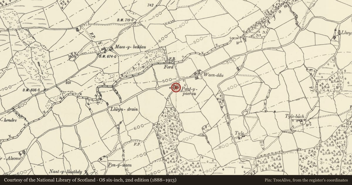 Ordnance Survey six-inch map, 2nd edition (1888–1913) covering the location of Pant-y-Paerau, Llangynidr, Powys, with a pin at the register's coordinates