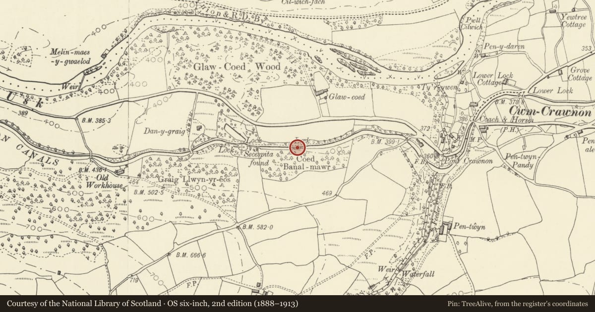 Ordnance Survey six-inch map, 2nd edition (1888–1913) covering the location of Lock No 66, Llangynidr, Powys, with a pin at the register's coordinates
