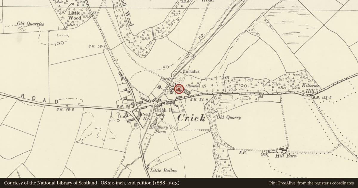 Ordnance Survey six-inch map, 2nd edition (1888–1913) covering the location of St Nyvern's Chapel Cottage, Caerwent, Monmouthshire, with a pin at the register's coordinates