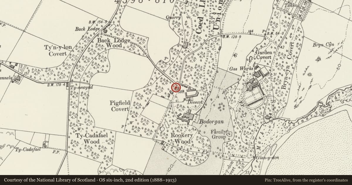 Ordnance Survey six-inch map, 2nd edition (1888–1913) covering the location of Cattle weigh-house at Bodorgan home farm, Isle of Anglesey, with a pin at the register's coordinates