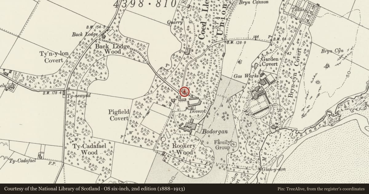 Ordnance Survey six-inch map, 2nd edition (1888–1913) covering the location of Cartshed at Bodorgan home farm, Isle of Anglesey, with a pin at the register's coordinates
