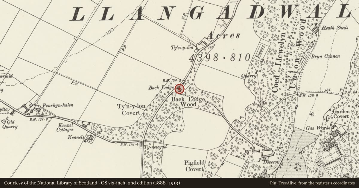 Ordnance Survey six-inch map, 2nd edition (1888–1913) covering the location of Back Lodge at Bodorgan, Isle of Anglesey, with a pin at the register's coordinates