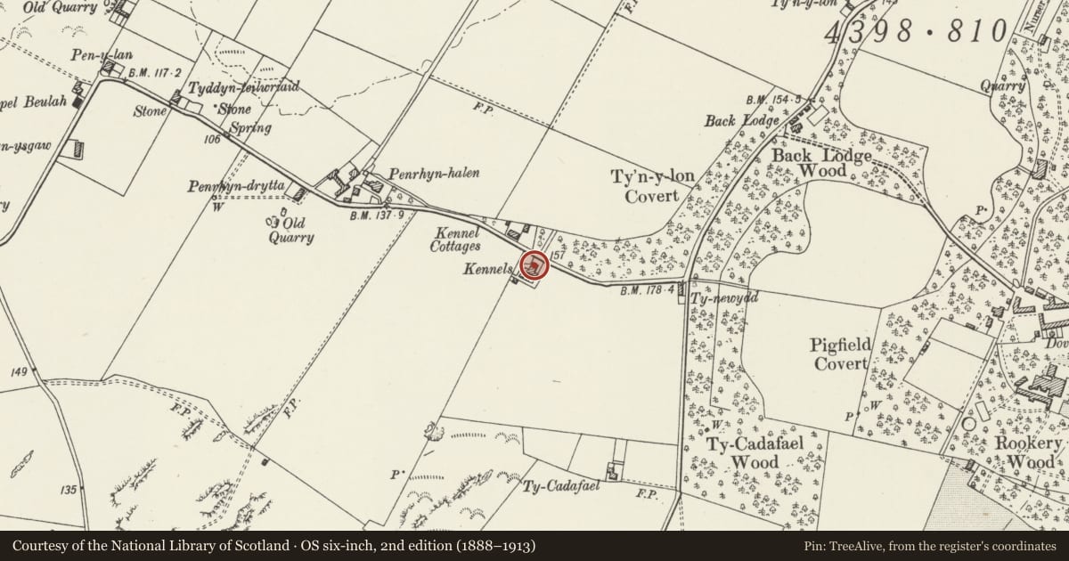 Ordnance Survey six-inch map, 2nd edition (1888–1913) covering the location of The Kennels, Bodorgan, Isle of Anglesey, with a pin at the register's coordinates