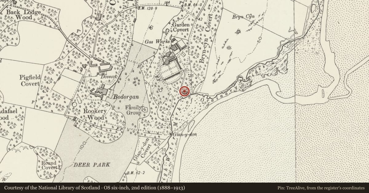 Ordnance Survey six-inch map, 2nd edition (1888–1913) covering the location of Garden Cottage and attached garden wall, Bodorgan, Isle of Anglesey, with a pin at the register's coordinates