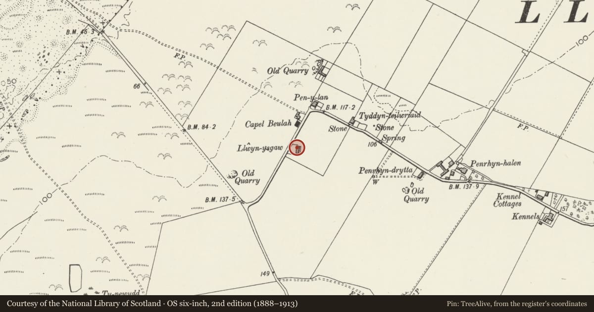Ordnance Survey six-inch map, 2nd edition (1888–1913) covering the location of Llwynisgaw, Bodorgan, Isle of Anglesey, with a pin at the register's coordinates