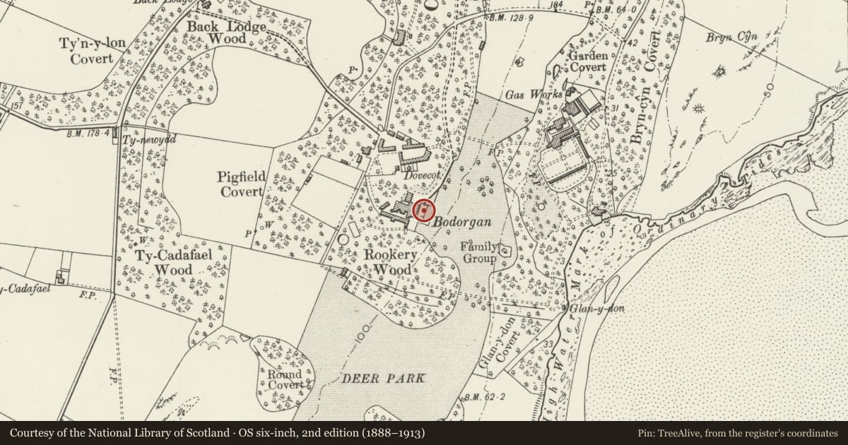 Ordnance Survey six-inch map, 2nd edition (1888–1913) covering the location of Garden terrace and water feature in front of Bodorgan Hall, Isle of Anglesey, with a pin at the register's coordinates