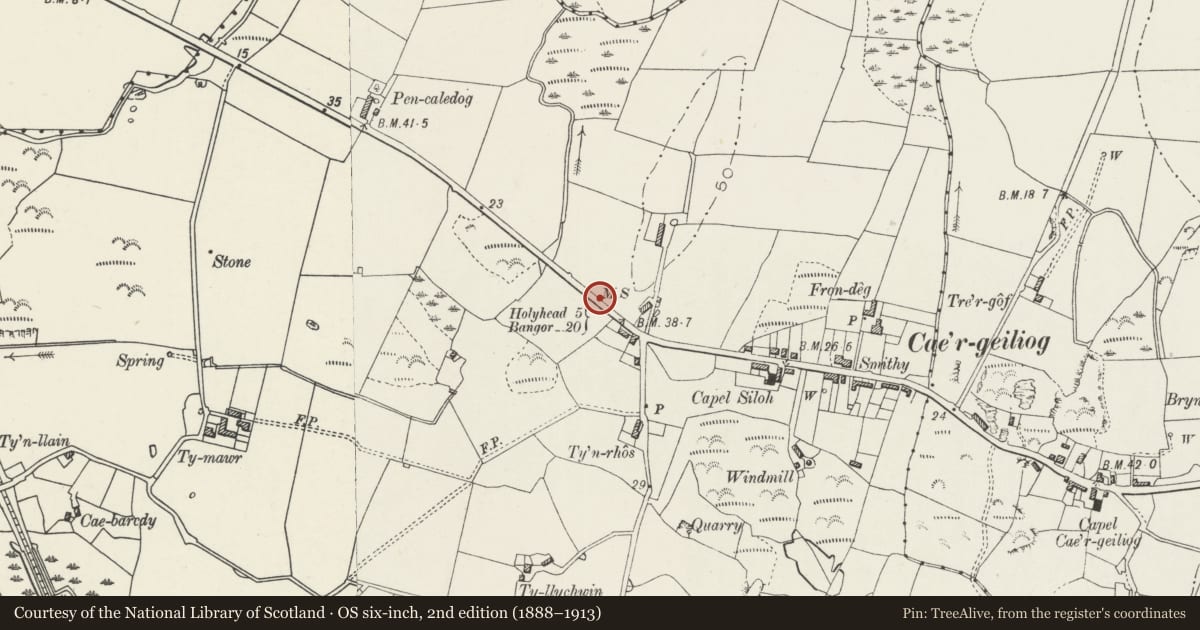 Ordnance Survey six-inch map, 2nd edition (1888–1913) covering the location of Telford Milestone (5), Llanfair-yn-Neubwll, Isle of Anglesey, with a pin at the register's coordinates