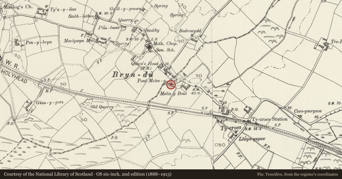 Ordnance Survey six-inch map, 2nd edition (1888–1913) covering the location of Melin y bont, Llanfaelog, Isle of Anglesey, with a pin at the register's coordinates