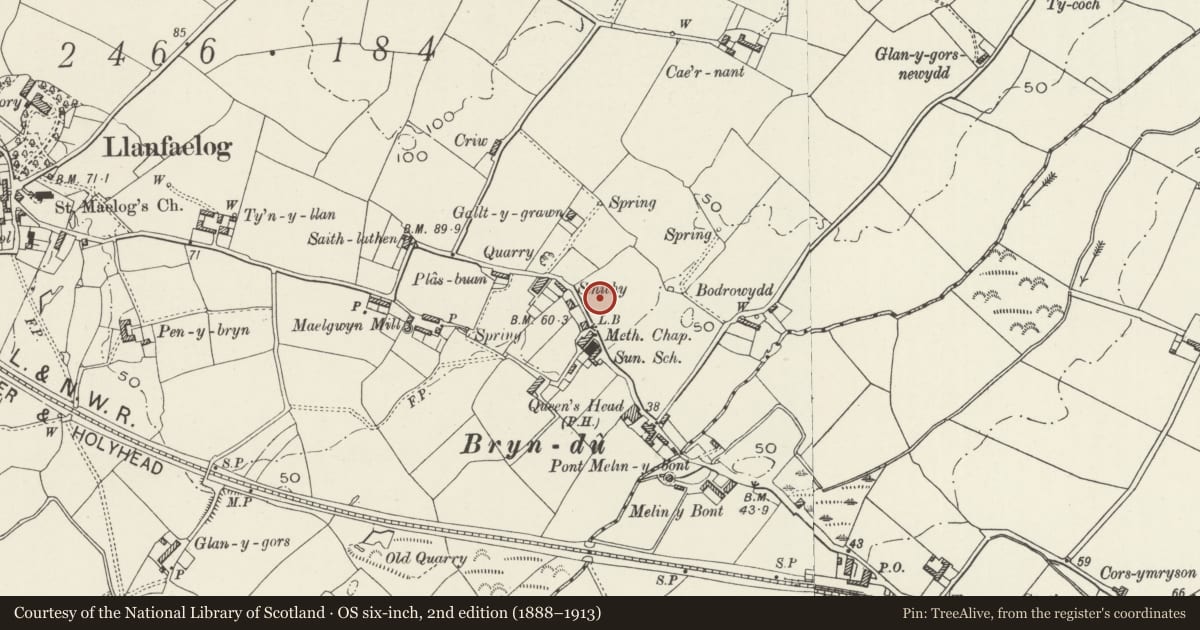 Ordnance Survey six-inch map, 2nd edition (1888–1913) covering the location of Bryn Du Chapel, Llanfaelog, Isle of Anglesey, with a pin at the register's coordinates
