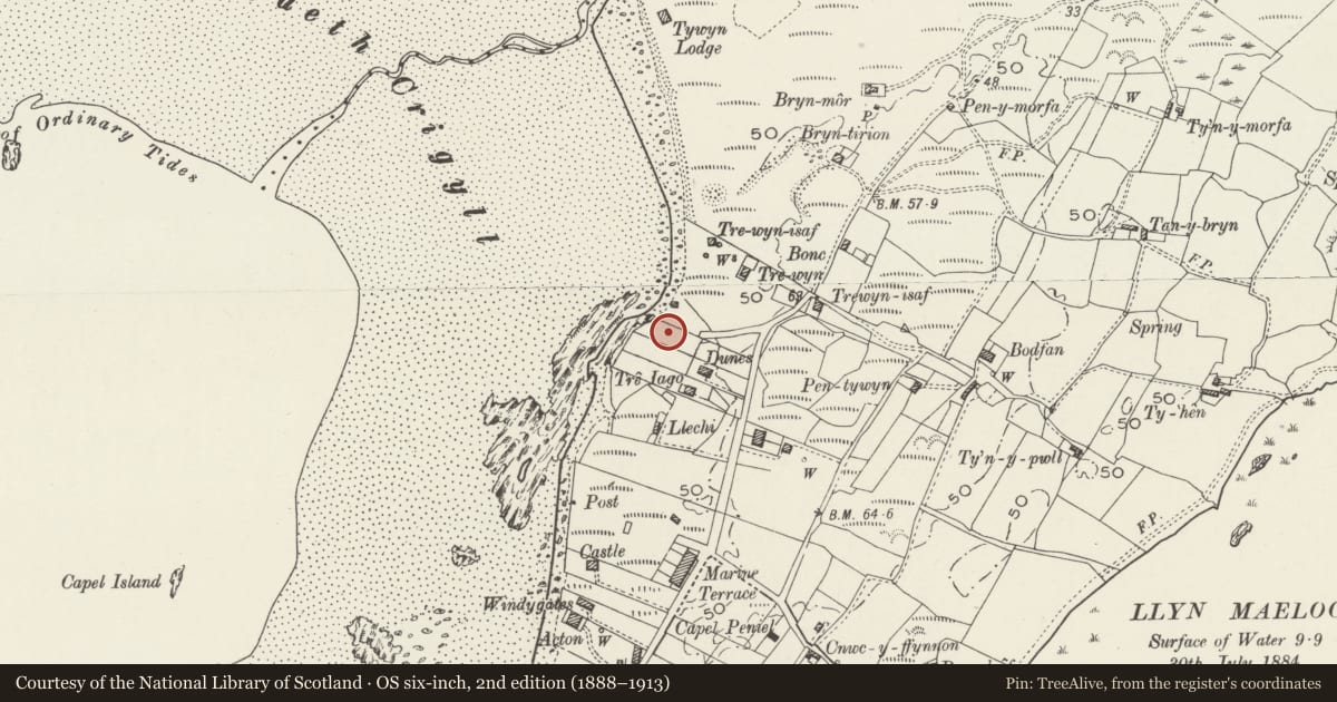Ordnance Survey six-inch map, 2nd edition (1888–1913) covering the location of Surf Point, Llanfaelog, Isle of Anglesey, with a pin at the register's coordinates