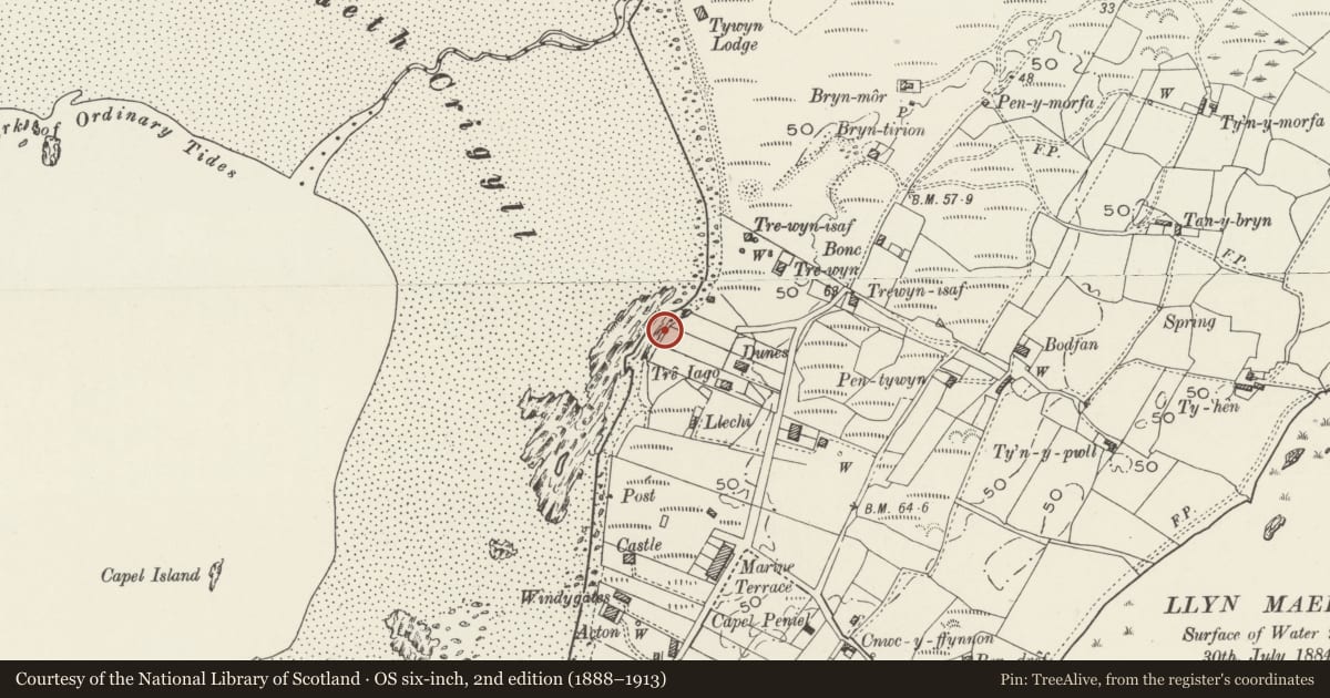 Ordnance Survey six-inch map, 2nd edition (1888–1913) covering the location of Sea Wall, Surf Point, Llanfaelog, Isle of Anglesey, with a pin at the register's coordinates