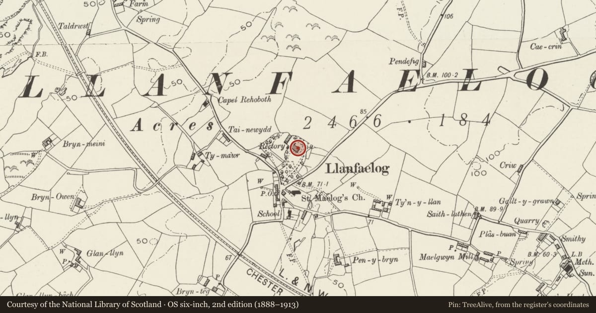 Ordnance Survey six-inch map, 2nd edition (1888–1913) covering the location of The Old Rectory, Llanfaelog, Isle of Anglesey, with a pin at the register's coordinates