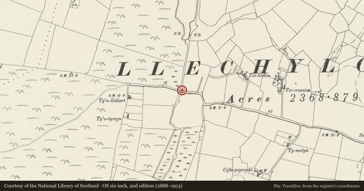 Ordnance Survey six-inch map, 2nd edition (1888–1913) covering the location of Bridge E of Tyn-Lidiart, Llanfair-yn-Neubwll, Isle of Anglesey, with a pin at the register's coordinates