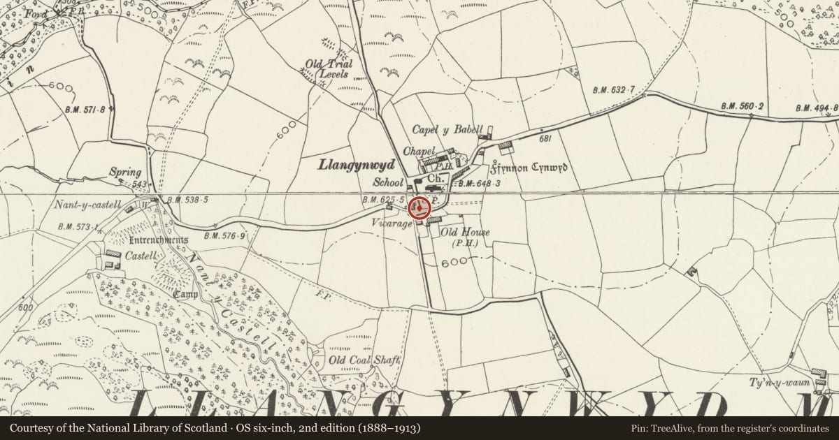 Ordnance Survey six-inch map, 2nd edition (1888–1913) covering the location of The Hopcyn Cross, Llangynwyd Middle, Bridgend, with a pin at the register's coordinates