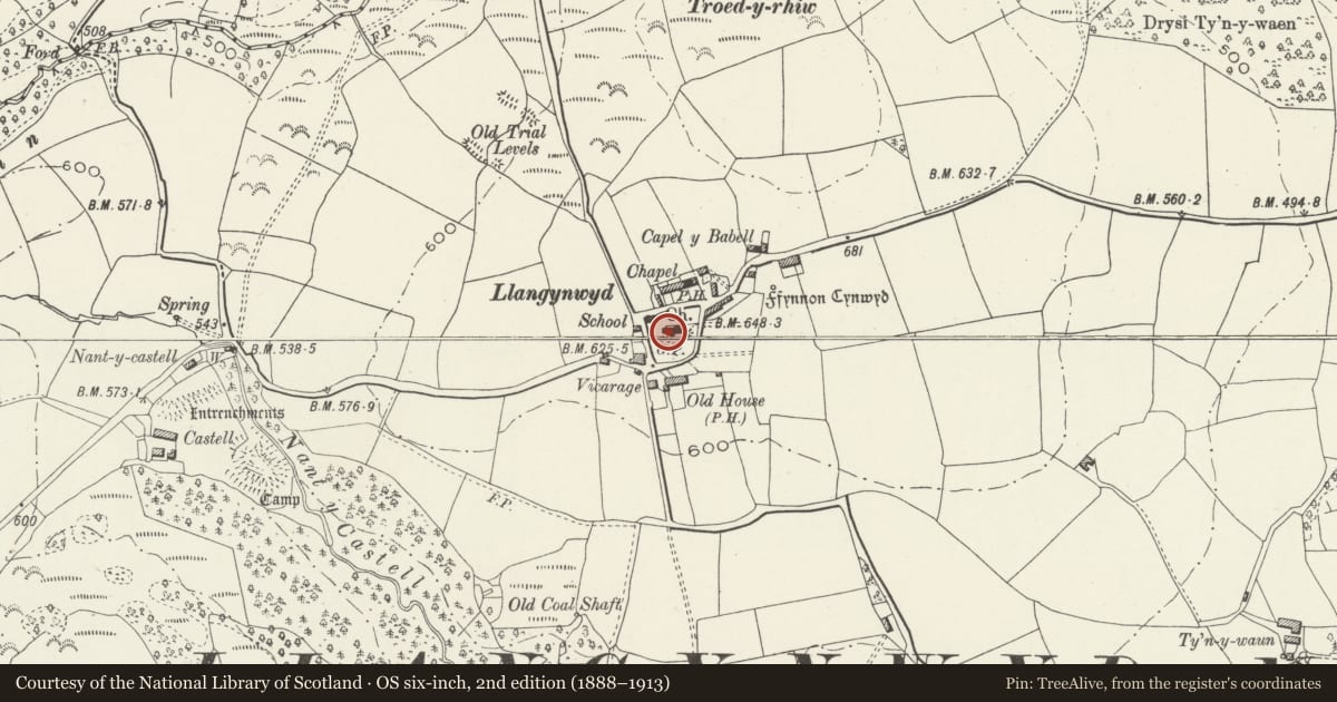 Ordnance Survey six-inch map, 2nd edition (1888–1913) covering the location of Group of five tombs S of the tower of the Church of St Cynwyd, Llangynwyd Middle, Bridgend, with a pin at the register's coordinates