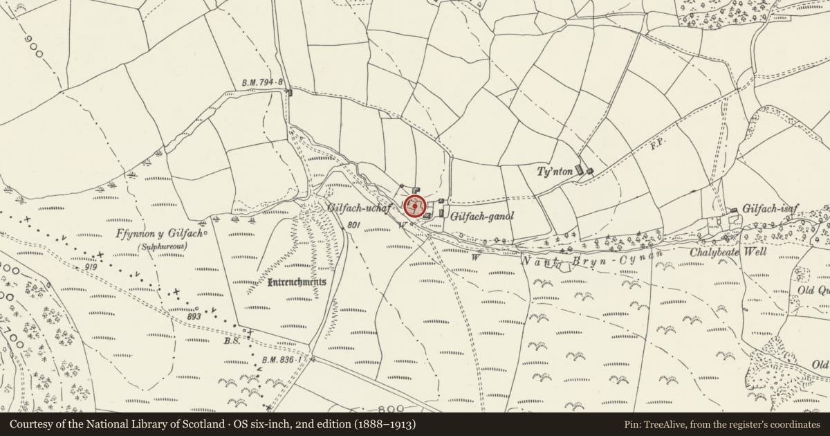 Ordnance Survey six-inch map, 2nd edition (1888–1913) covering the location of Bee boles and stile in garden wall at Gilfach-uchaf farm, Llangynwyd Middle, Bridgend, with a pin at the register's coordinates