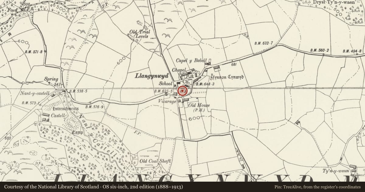 Ordnance Survey six-inch map, 2nd edition (1888–1913) covering the location of Group of 4 Hopkin and Jenkins tombs within iron railings on the W side of the path to the S porch, Llangynwyd Middle, Bridgend, with a pin at the register's coordinates