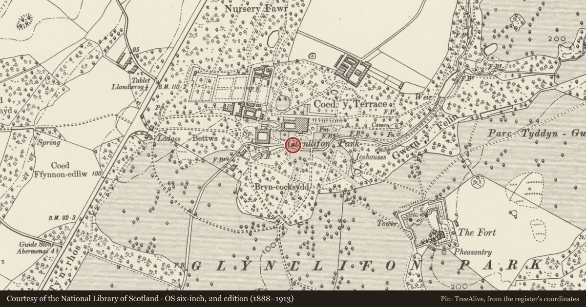 Ordnance Survey six-inch map, 2nd edition (1888–1913) covering the location of Bridge over Afon Llifon to south of Glynllifon House, Llandwrog, Gwynedd, with a pin at the register's coordinates