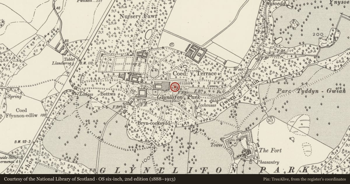 Ordnance Survey six-inch map, 2nd edition (1888–1913) covering the location of Fountain Pool adjacent to east side of house, Llandwrog, Gwynedd, with a pin at the register's coordinates