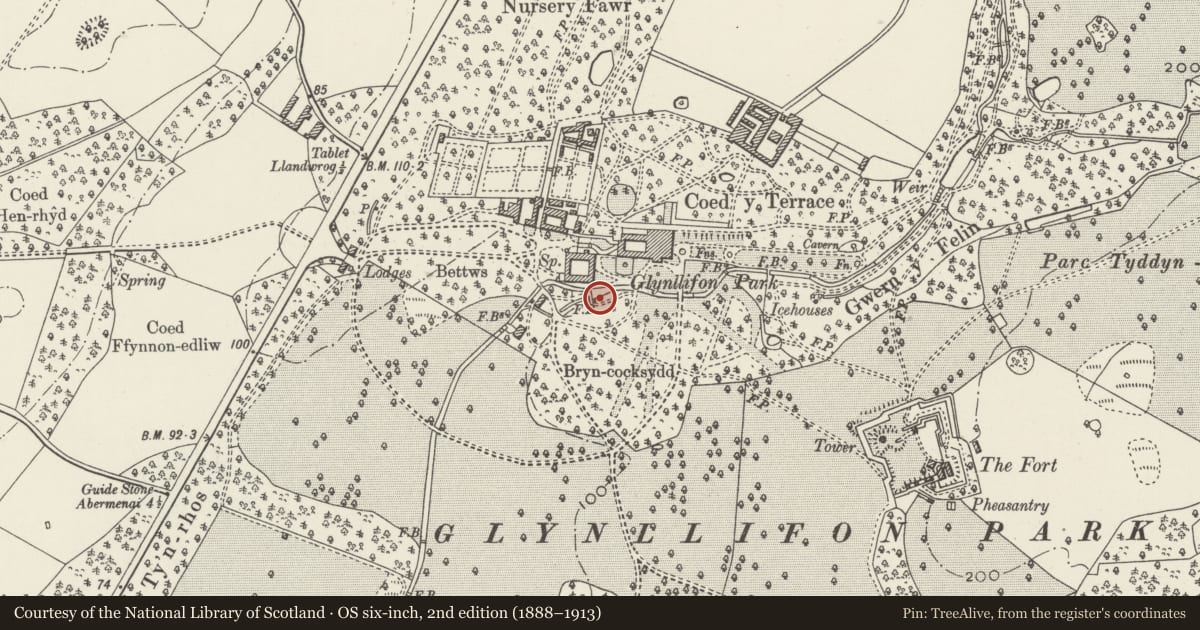 Ordnance Survey six-inch map, 2nd edition (1888–1913) covering the location of Children's Mill or Boat House, Llandwrog, Gwynedd, with a pin at the register's coordinates