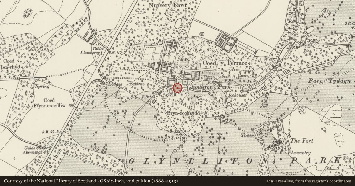 Ordnance Survey six-inch map, 2nd edition (1888–1913) covering the location of Sluice, two sluice houses and linking footbridge adjacent to Children's Mill, Llandwrog, Gwynedd, with a pin at the register's coordinates