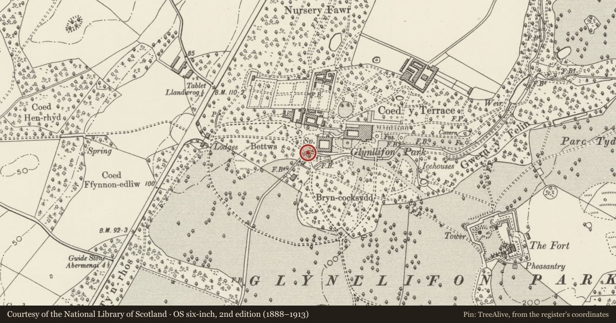 Ordnance Survey six-inch map, 2nd edition (1888–1913) covering the location of Stone Bridge on the main drive south of the Stables at Glynllifon, Llandwrog, Gwynedd, with a pin at the register's coordinates
